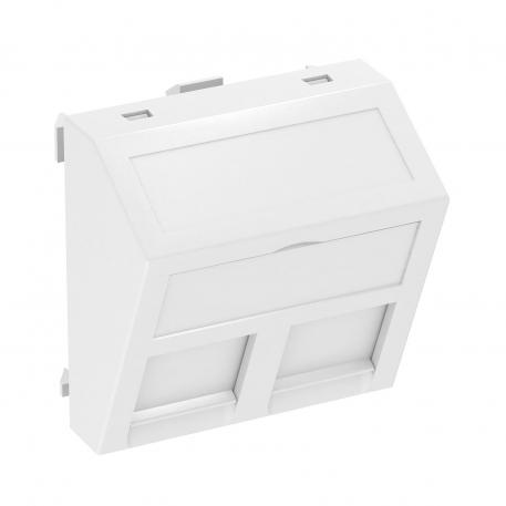 Support informatique, 1 module, sortie inclinée, type C oui | blanc pur; RAL 9010