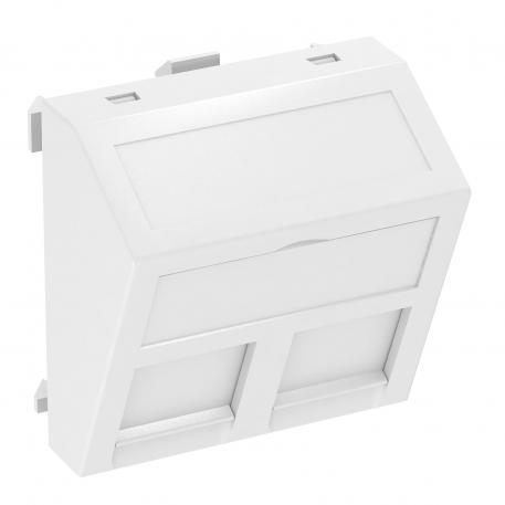 Support informatique, 1 module, sortie inclinée, type RM oui | blanc pur; RAL 9010