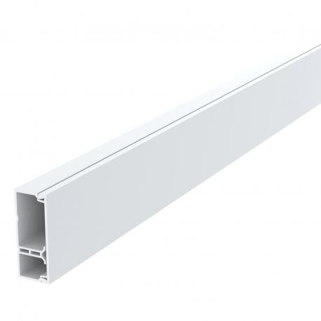 Goulotte de distribution AX 20, largeur de goulotte 50, avec séparateur 2000 | 50 | 20,1 | blanc pur; RAL 9010